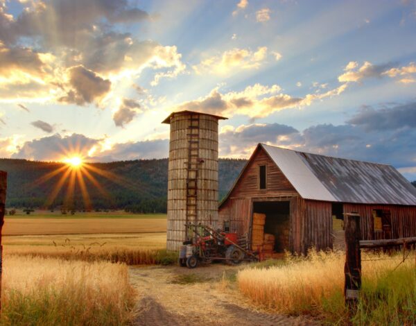 timothy-eberly-XemjjFd_4qE-unsplash timothy-eberly-XemjjFd_4qE-unsplash